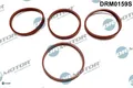 Dr.Motor Automotive DRM0159S Dichtungssatz für Ansaugkrümmer