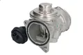 AGR-Ventil PIERBURG 7.24809.20.0 VW BORA I (1J2) 1.9 2000-2005
