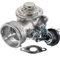 PIERBURG AGR-Ventil 7.24809.20.0 für FORD VW SEAT AUDI SKODA