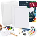 30 tlg Malset Acryl Maler Set Zeichenset Künstler Acrylfarben Keilrahmen Pinsel