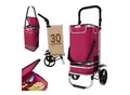 24MOVE® Einkaufstrolley VEHLO 3in1 Trolley faltbarer Einkaufswagen mit Kühlfach, rot