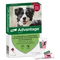 Advantage Spot-On für Hunde von 10 bis 25 kg Körpergewicht