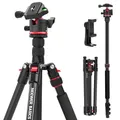 NEEWER Basics 72" / 182cm Reisestativ Einbeinstativ kompakter Leichter tragbarer Kamera Stativ Ständer für Aufnahmen, Arca Typ Kugelkopf, Handyhalterung kompatibel mit iPhone, max. Last 6kg, TP14B