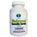 Weihrauch Boswellia Serrata 120 Kapseln Ohne Zusatzstoffe Natur Pur. 26396