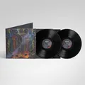 Soulburn Quantifying Cosmic Doom (Vinyl) (US IMPORT)