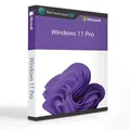 Windows 11 Pro EN