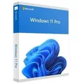 Microsoft Windows 11 Professional Downloadversion 2 x