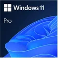 Microsoft Windows 11 Pro 64bit Vollversion DVD SB, Englisch (FQC-10528)