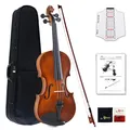 Aileen Geige Kinder 4/4, Violine Lernen Anfänger Set für Erwachsene mit Exklu...