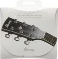 Ibanez IACS6C 80/20 Saiten für AkustikGitarre Acoustic 6-String - 012-053