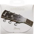 Ibanez IACS6C - 80/20 Bronze - light (012-053) - Saiten für Westerngitarre