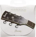 IBANEZ IACS6C Acoustic Light 012-053