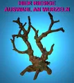 Aquarium Deko 🍀 MANGROVEN WURZEL 🍀 Garnelen Terrarium Dekoration Zubehör Höhle