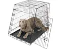 Transportbox KERBL klappbar 107x74x85 cm