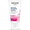Weleda Wildrose glättende Nachtpflege 30ml