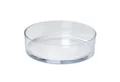 INNA-Glas Dekoschale Glasschale VERA OCEAN, transparent, 8cm, Ø29cm