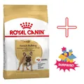 Royal Canin French Bulldog Adult Hundefutter Trocken 9kg speziell für Rasse