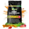 Greenyp Herbstrasendünger Langzeit (30kg / 1000m²) I mit 90 Tage Langzeitwirkung + extra Kalium I macht den Rasen Winterfest & Tiefgrün I Herbstdünger Rasen Rasendünger Herbst