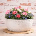 AltoBelli Blumentopf ADELINA Schale Zement Antik Grau Patina 24x12 cm