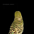 Andrew Bird Armchair Apocrypha (CD) (US IMPORT)