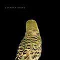 Andrew Bird - Armchair Apocrypha - Andrew Bird CD 1CVG The Cheap Fast Free Post
