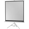 Celexon Economy tripod screen - Projektionsbildschirm mit Stativ - 223 cm (88") (87.80", 1:1) (1090265)