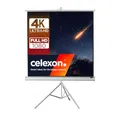 celexon Economy Stativ-Leinwand weiß 90" | 158x158 cm 1:1 | mobil transportable 4K, Full-HD Beamerleinwand mit manuellem Rollauszug für Heimkino, Büro & Outdoor | inkl. Standfuß + Tragegriff