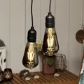 2er Set Vintage Hängeleuchte für außen + Fernbedienung, G64 Ø6,4x13,8cm, dimmbar
