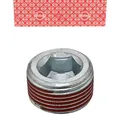 ELRING 587.100 Ölablassschraube M22x1,5x13 für CITROEN PEUGEOT ALFA FORD FIAT