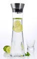 Glas Karaffe 1 Liter mit Ausgießer + Sieb - Wasserkaraffe Saftkrug Glasbehälter