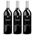Delinat Pastoret 2022 – Spanischer Bio-Rotwein halbtrocken aus Katalonien – Vegane Cuvée aus Merlot & Garnacha, im Barrique ausgebaut, säurearm (3 x 0,75l)