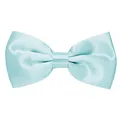 MASADA Herren Fliege Hellblau glänzend und stufenlos verstellbar, handgefertigt mit Hakenverschluss - 12 x 6 cm 100% Polyester
