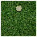 MDEKOR Kunstrasen Balkon Outdoor Meterware wasserdurchlässig, Echtrasen-Optik, 250x200 cm Grün 101, Höhe 15 mm grün 250 cm x 200 cm