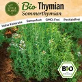 Thymian Samen (BIO) - 1000 Samen Kräutersamen Sommerthymian-Samen