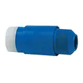 Stecker 30 A 220 V blau - 1 PC Osculati  - 14.332.00 - 1433200