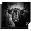 MuchoWow Herd-Abdeckplatte Schottischer Hochländer - Licht - Porträt - Natur, Vinyl, (1 tlg), Ceranfeldabdeckung Küche, Herdabdeckplatte Einteilig, 60x52 cm bunt 60 cm x 52 cm x 0.2 cm