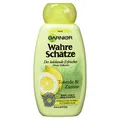 Garnier Wahre Schätze Shampoo, 1er Pack (1 x 250 ml)