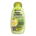 Garnier Wahre Schätze Shampoo Tonerde & Zitrone (250 ml Flasche)