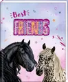 Freundebuch – Best friends: Mit Wendepailletten-Patch (Pferdefreunde): für Kita, Kindergarten und Grundschule, Mädchen und Jungen, mit Geburtstagskalender