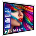 ESMART Economy EXR Rollo Leinwand | 240 x 240 cm (134") | Format 1:1