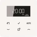 Jung CD1750DWW Timer Standard m.Display (CD1750DWW)