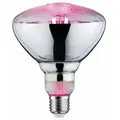 PAULMANN Grow Green Edition LED Reflektor Filament   E27 230V 200lm 6,5W 1300K  Wachstumslicht