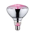 Paulmann 28737 LED Lampe Pflanzenlicht 6,5W Leuchtmittel Wachstumslicht Beleuchtung Glas Licht 1300 K E27
