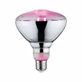 Paulmann LED Filament Plant PAR38 - 6,5 W E27 Reflektor Wachtumslicht klar