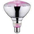 Paulmann LED-Pflanzenlampe Wachstum   230 V E27 6.5 W  Bernstein   1 St.