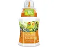 Kakteendünger Compo 250 ml