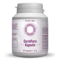2x DARMFLORA Probiotikum Kapseln 60 ST