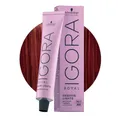 Schwarzkopf Igora Royal Fashion L-88 Extra Rot 60ml - Permanente Färbung