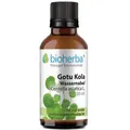 Gotu Kola Wassernabel Tropfen Tinktur 50 ml