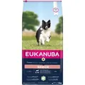 Eukanuba Trockenfutter Für Ältere Hunde, Kleine Bis Mittelgroße Rassen, Lammreis, 12 Kg
